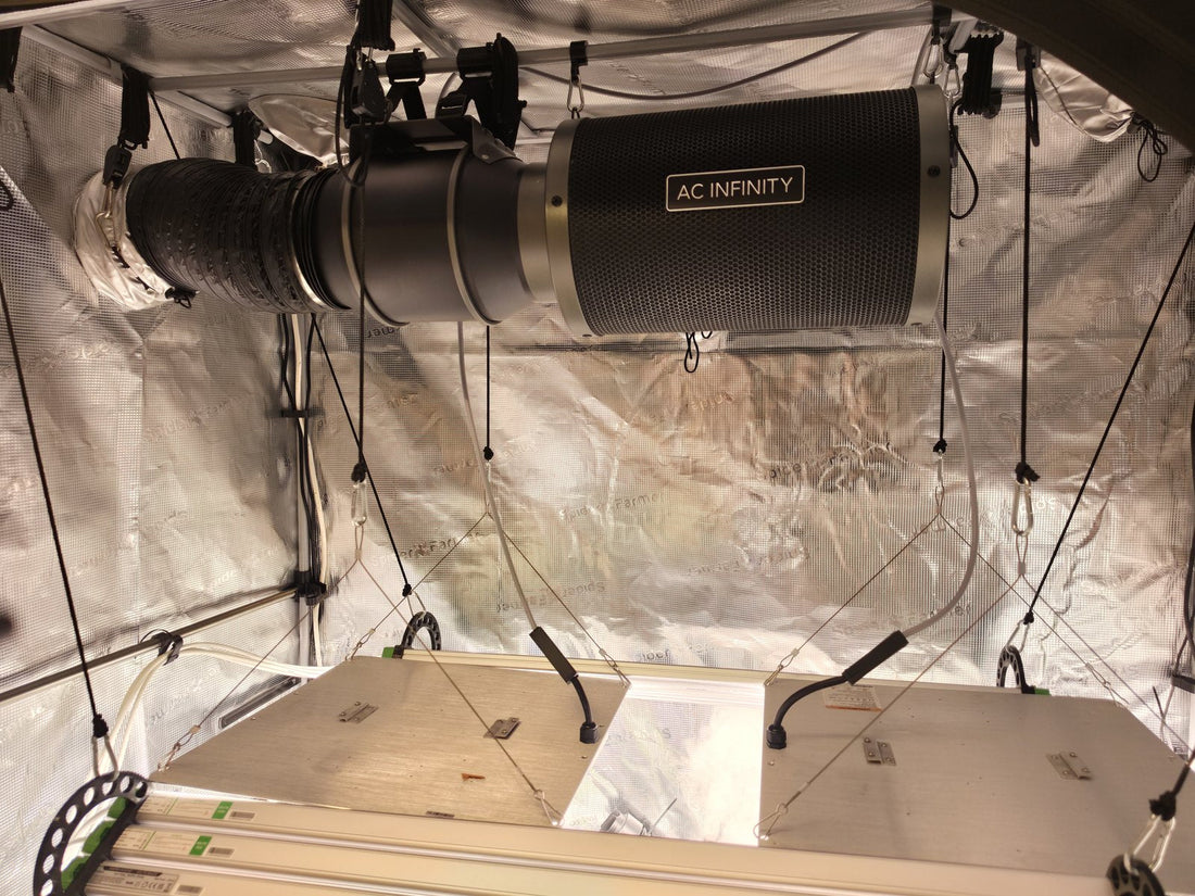 Kabelmanagement in der Growbox: So verkabelst du sicher und sauber