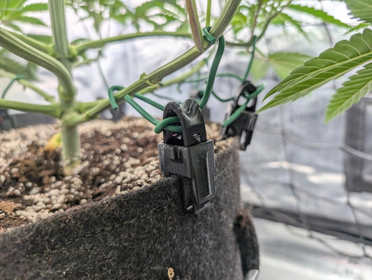 3DGROW LST-Clips für Stofftöpfe – Low Stress Training Pflanzenbinder, schont den Topf